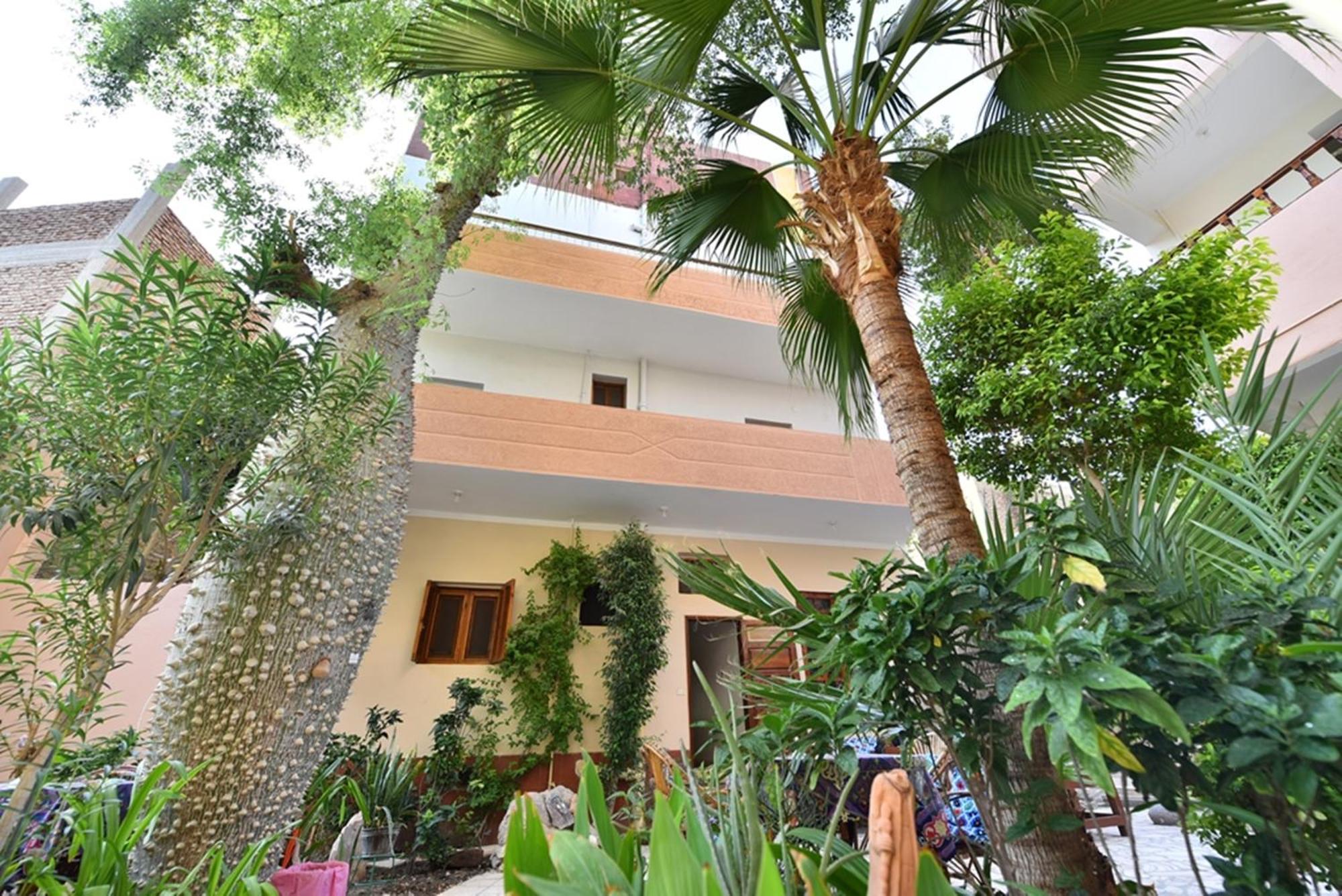 Amon Hotel Luxor Exterior foto