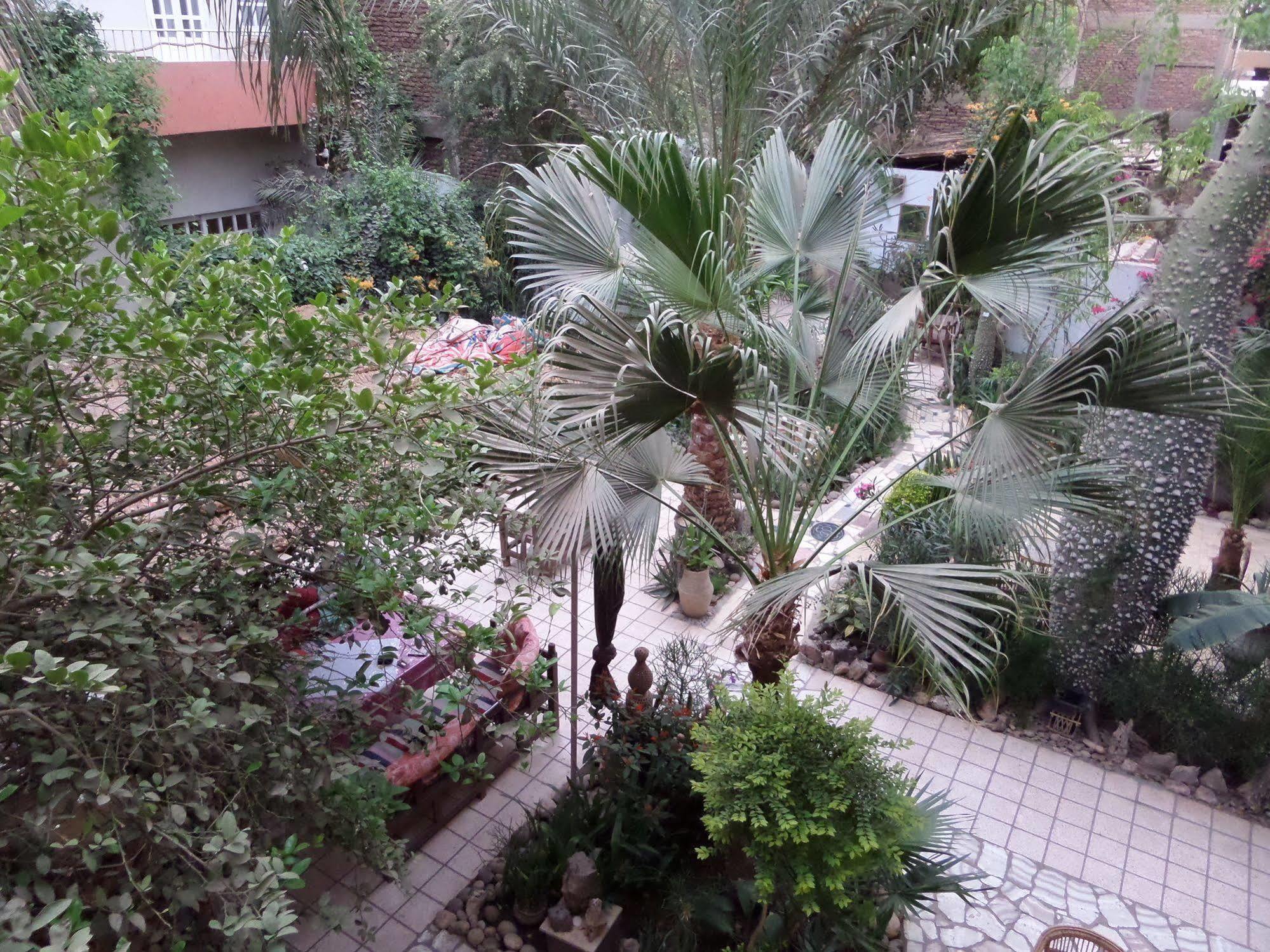 Amon Hotel Luxor Exterior foto