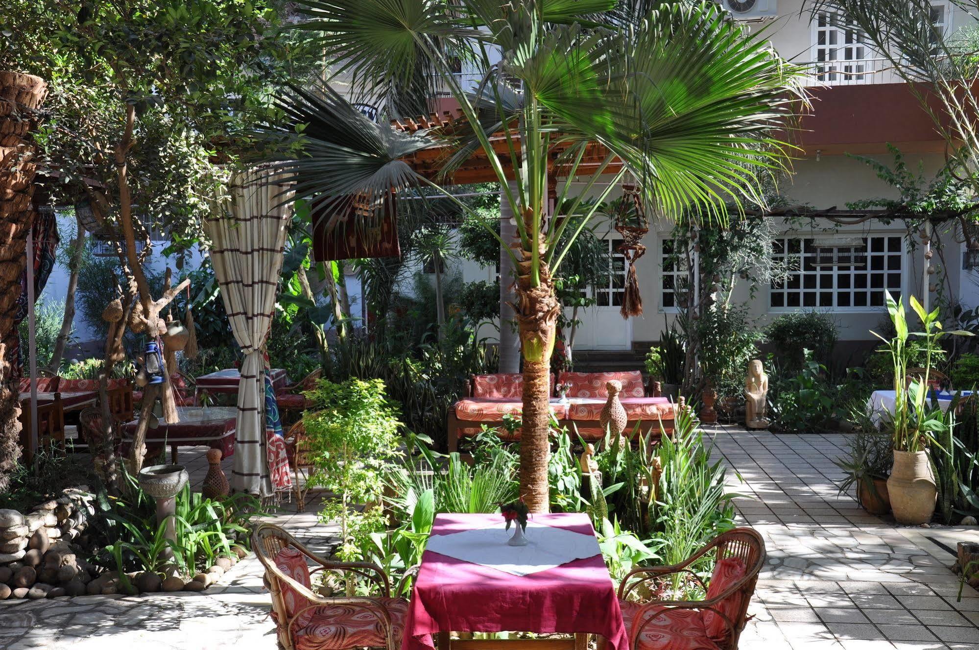 Amon Hotel Luxor Exterior foto